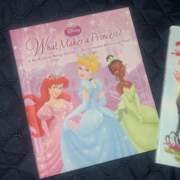 Disney Princess Book Bundle - Picture 3 of 14